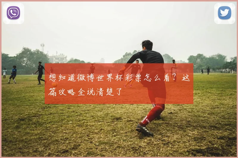 想知道微博世界杯彩票怎么看？这篇攻略全说清楚了