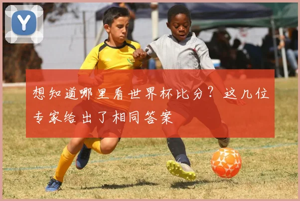 想知道哪里看世界杯比分？这几位专家给出了相同答案