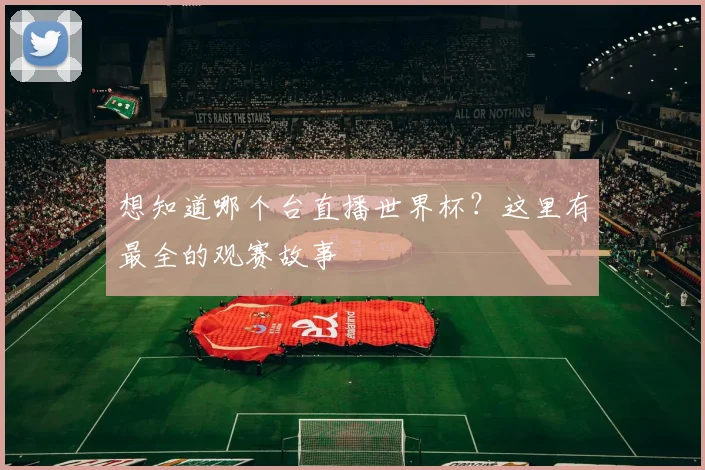 想知道哪个台直播世界杯？这里有最全的观赛故事