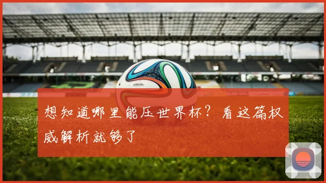 想知道哪里能压世界杯？看这篇权威解析就够了