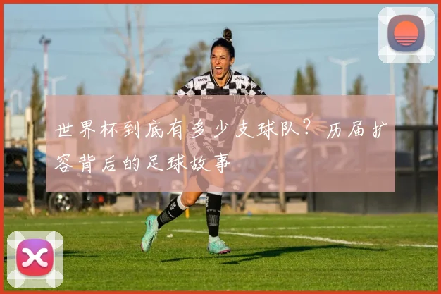 世界杯到底有多少支球队?历届扩容背后的足球故事