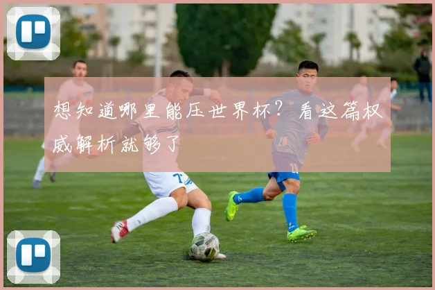 想知道哪里能压世界杯？看这篇权威解析就够了